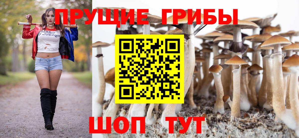 Ивантеевка  Галлюциногенные грибы мицелий  Вход с VPN  Псилоцибиновые грибы мухоморы 
