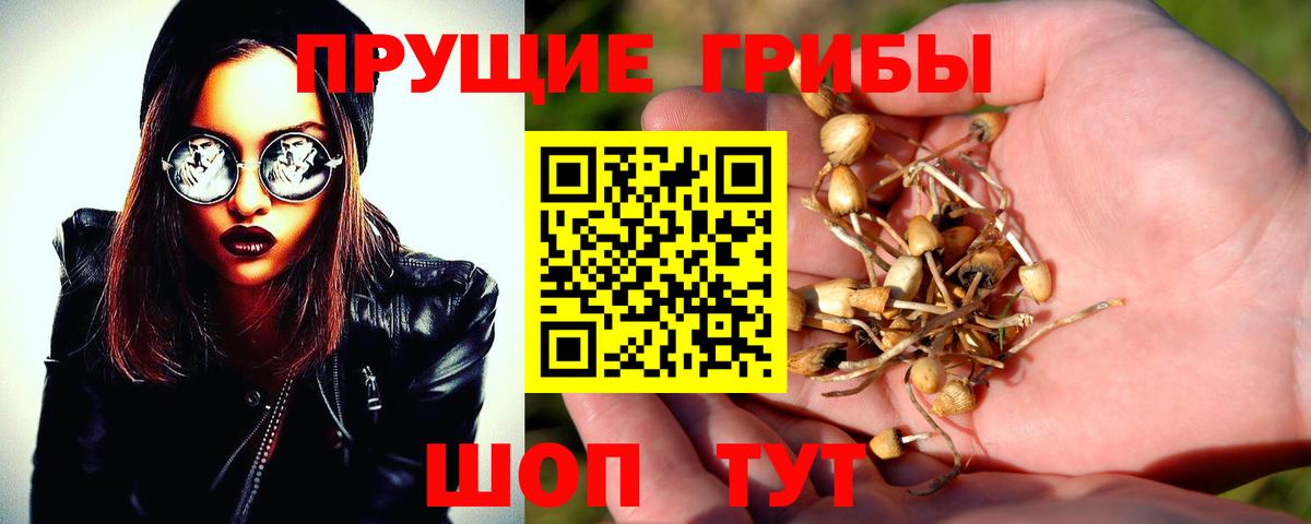 Псилоцибиновые грибы прущие грибы Ивантеевка